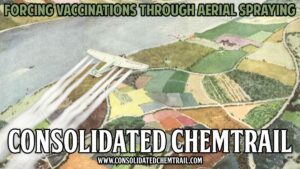 Consolidated Chemtrail - 05