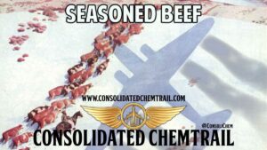 Consolidated Chemtrail - 32